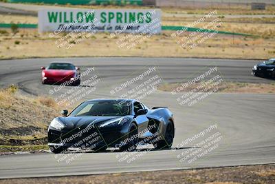 media/Mar-22-2025-West Coast Racing (Sat) [[0d49b412c8]]/Yellow Group/Session 1 (Turn 4-Exterior)/